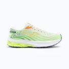 Pantofi de alergare pentru asfalt Mizuno