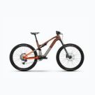Biciclete electrice