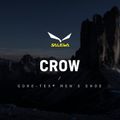 Cizme de munte pentru bărbați Salewa Crow GTX maro 00-0000061328 12