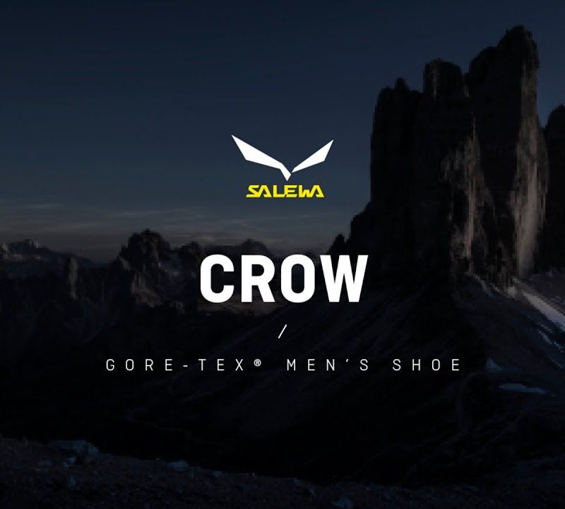 Cizme de munte pentru bărbați Salewa Crow GTX maro 00-0000061328 12
