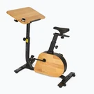 Bicicletele staționare